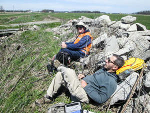 Lunch break--and nap?--on a rock pile