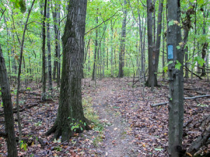 Hickory Grove Trail in Findley State Park