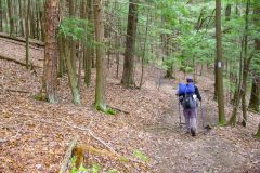 Hike into TrailFest 2014