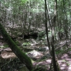 06-quiet-stream
