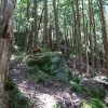 08-winding-path