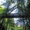 27-bridge-over-gorge