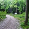 39-campsite-at-pretty-run