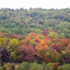 06-fall-colors