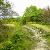 31-rocky-but-beautiful-path