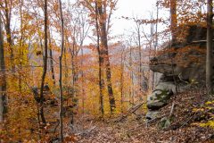 Wilderness Loop - Leg 2