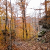 11-getting-into-some-fall-color