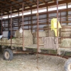 14-hay-bale-bedding