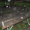 11-picnic-table-at-shelter-three-empties-quickly