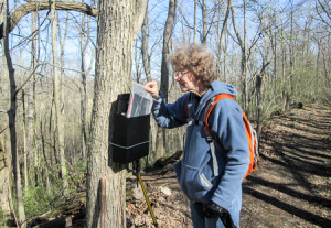 A mailbox in the woods gets our attention