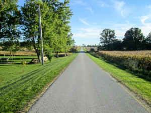 A typical long, straight, quiet country road