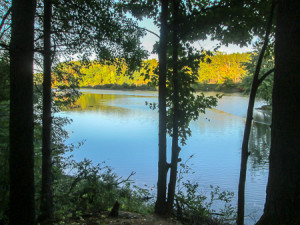 View of Findley Lake from the Buckeye Trail