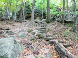 Ascent to the top of the rock ledges in Hinckley Reservation