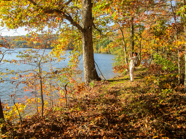 Reaching the Halfway Point—Part Three
