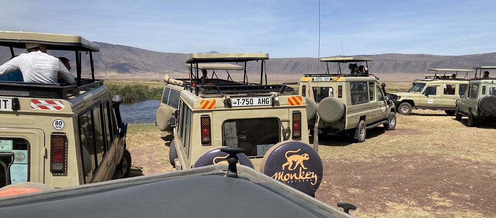 Africa–Part Three: Adventuring in Style in Bush Country